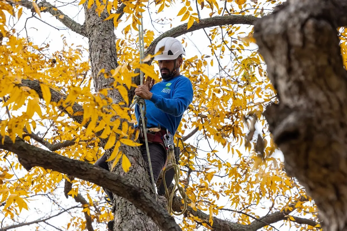 Skilled Storm Damage Cleanup crew working in Pontiac