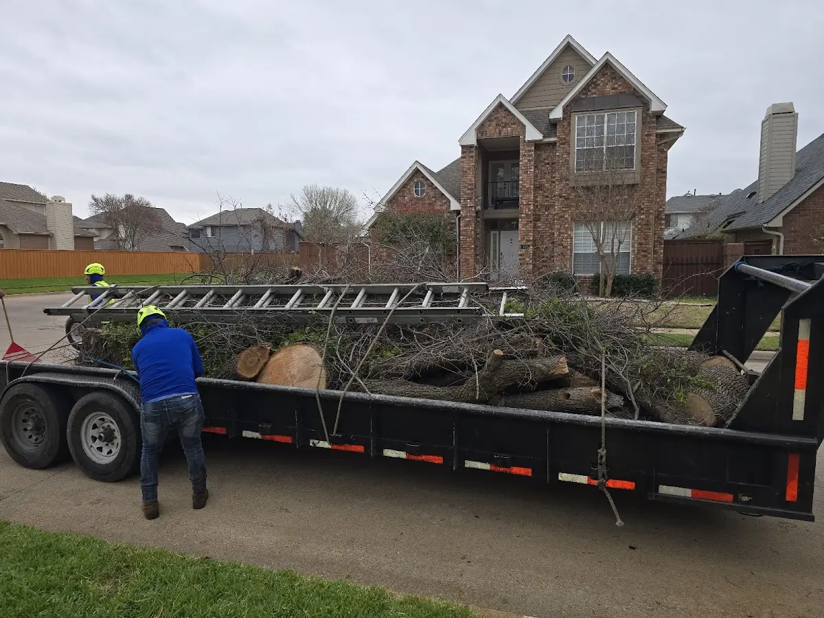 Expert Tree Fertilization with proper safety equipment in Pontiac